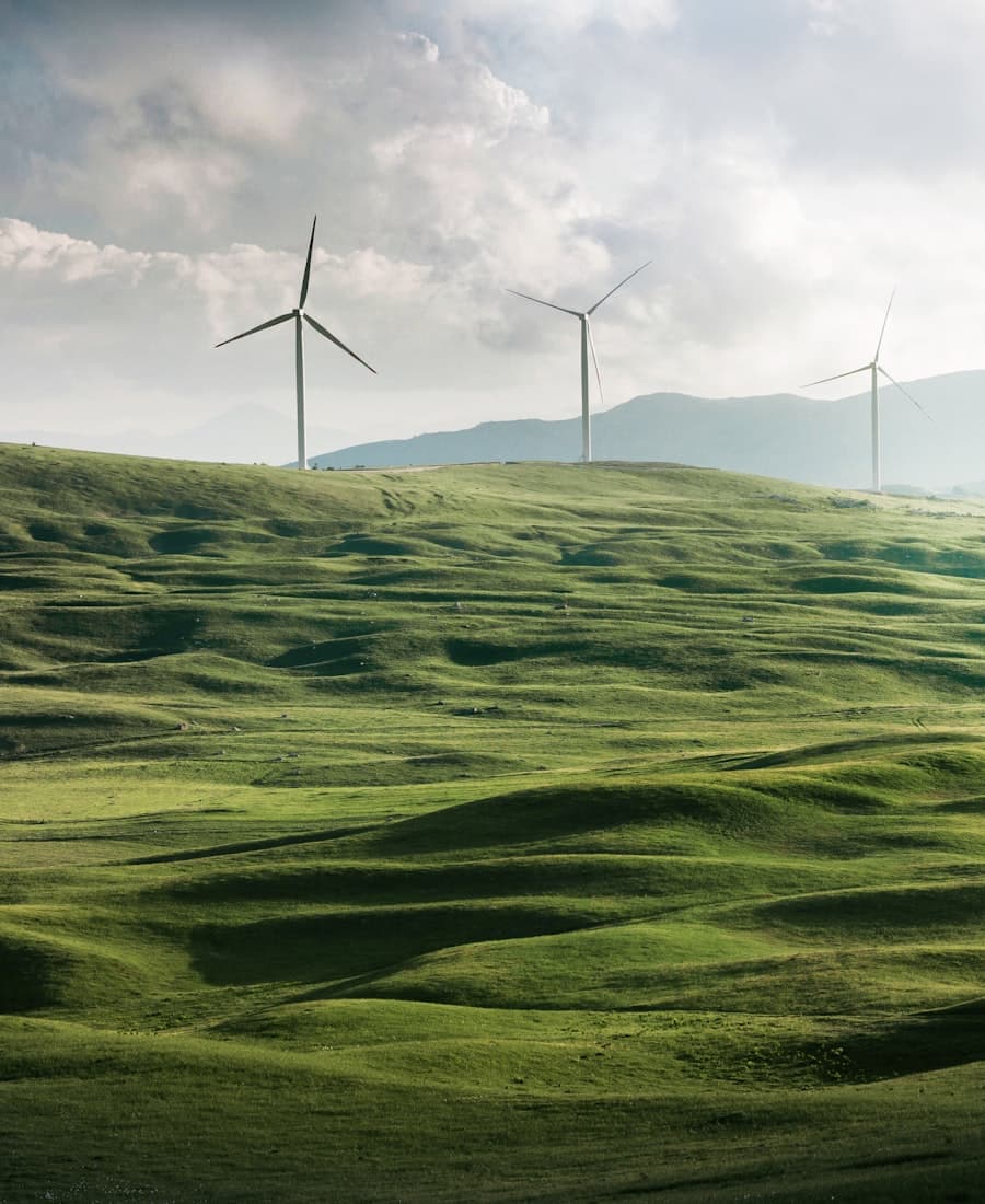 Climate & Environment