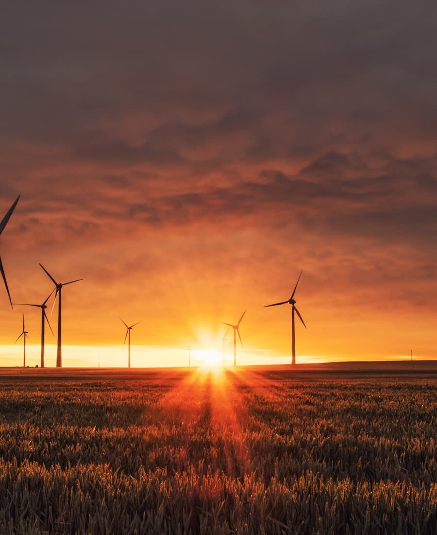 Energy Grid Management